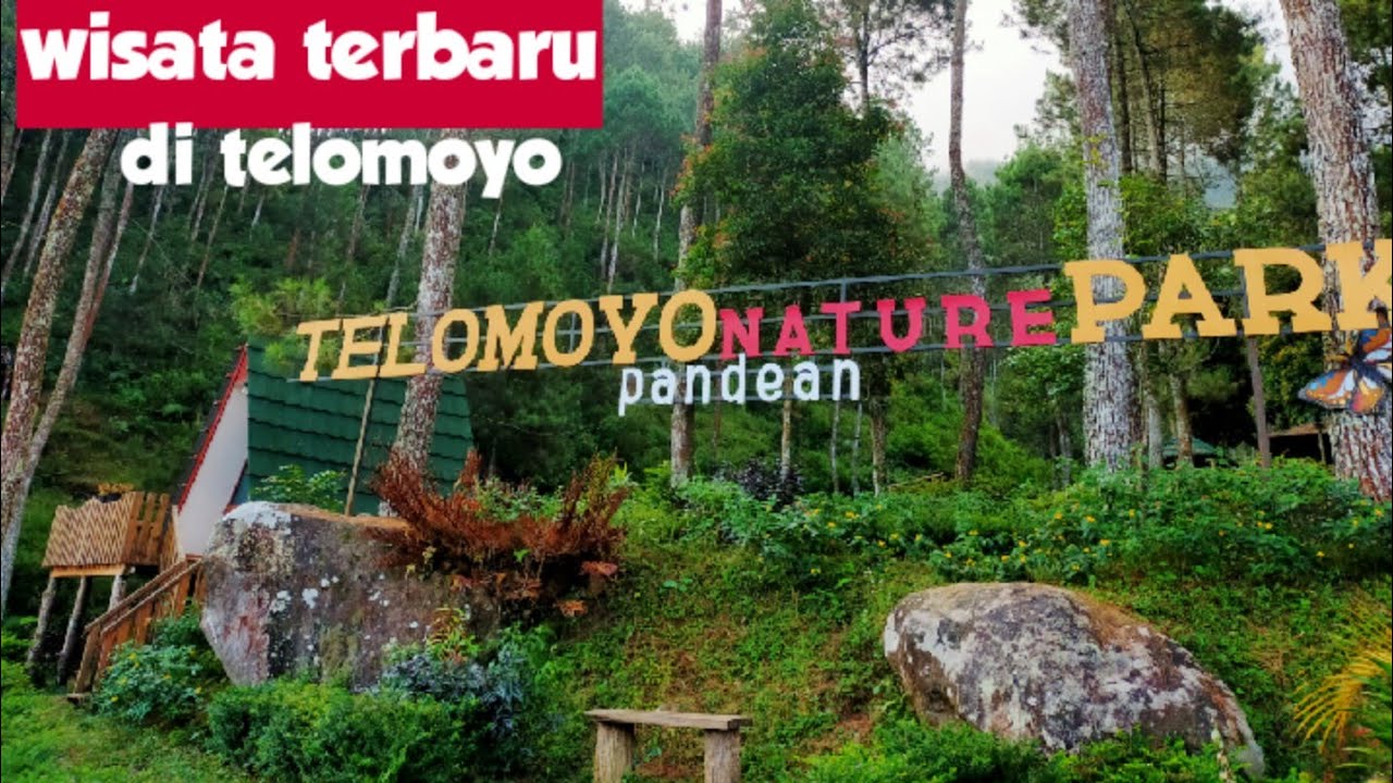 Telomoyo Nature Park: Keindahan Alam di Atas Awan